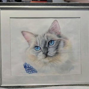 Rose added a photo of their purchase