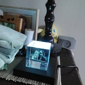 Ana added a photo of their purchase