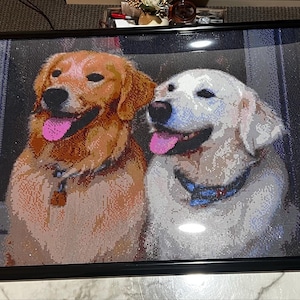 Shelby added a photo of their purchase
