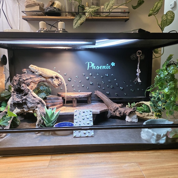 Square Hide With Ramp - Etsy