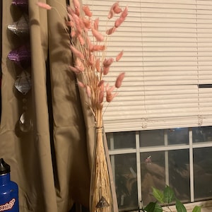 Ali added a photo of their purchase