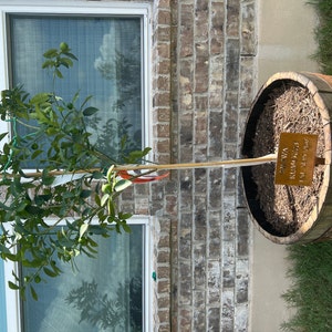 Mark added a photo of their purchase