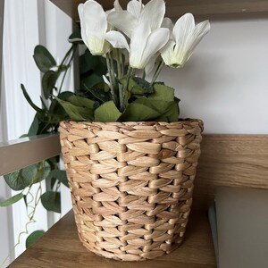 Natalie added a photo of their purchase