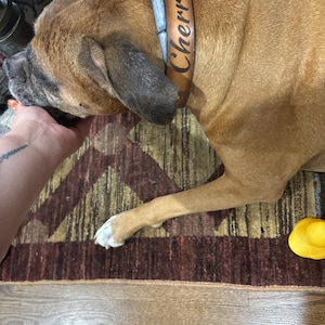 Angela added a photo of their purchase