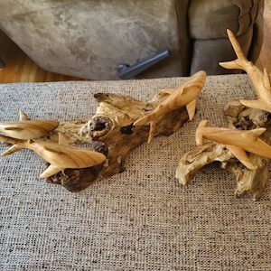 Kunty added a photo of their purchase