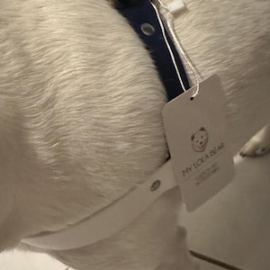 Lore added a photo of their purchase