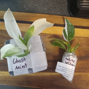 Matt added a photo of their purchase