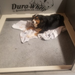 dura whelp whelping boxes