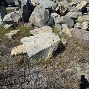 Brett added a photo of their purchase