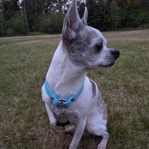 Dixie added a photo of their purchase