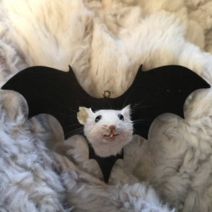 Ashley added a photo of their purchase