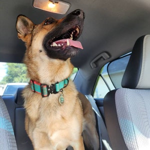 Brooke dodał(a) zdjęcie swoich zakupów