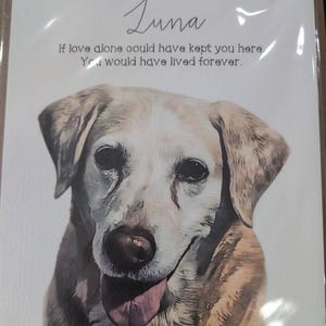 Andrea added a photo of their purchase