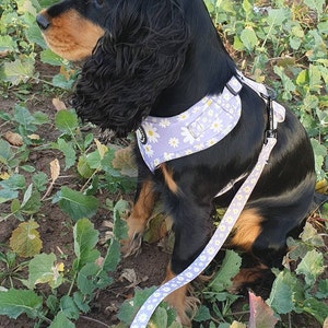 Lilly ha aggiunto una foto del proprio acquisto
