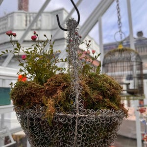 becky ha añadido una foto de su compra