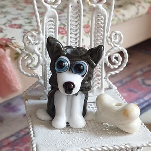 Tania heeft een foto van zijn/haar aankoop toegevoegd