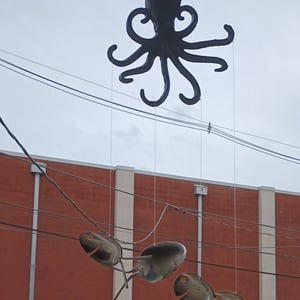 Suzette adicionaram uma foto da sua compra