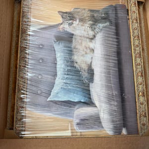 Danny added a photo of their purchase