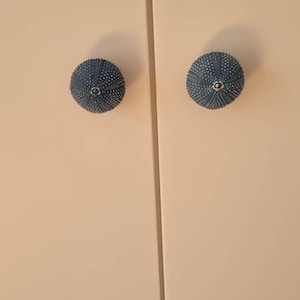 Paola added a photo of their purchase