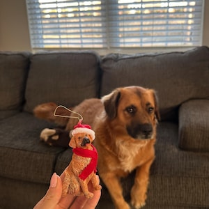 dominique added a photo of their purchase