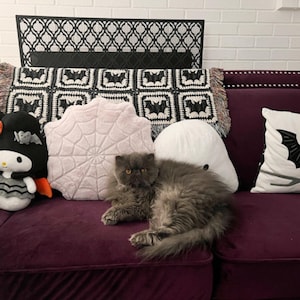 Missy added a photo of their purchase