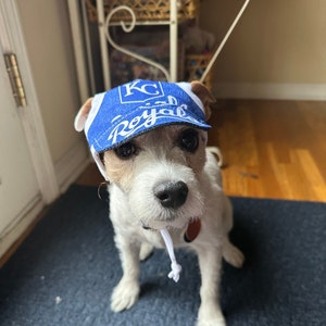 Edie added a photo of their purchase
