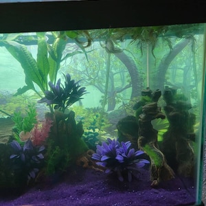 Kayla added a photo of their purchase