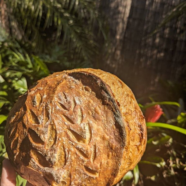 100-spelt-sourdough-bread-recipe-white-whole-grain-wholemeal-spelt