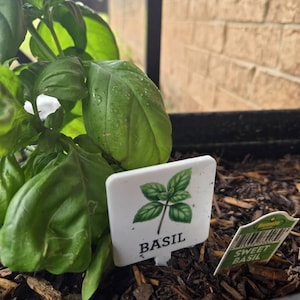 Leslie added a photo of their purchase
