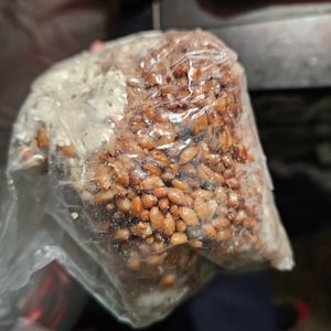 Rikki added a photo of their purchase