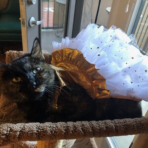 Nicole added a photo of their purchase