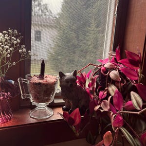Haley added a photo of their purchase