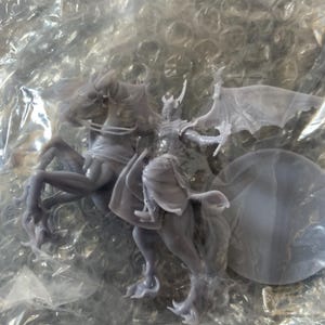 Ryan added a photo of their purchase
