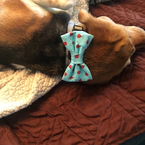 Ashley added a photo of their purchase