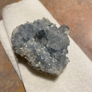 Sarah added a photo of their purchase