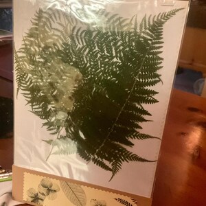 Jane added a photo of their purchase
