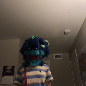Furry ha aggiunto una foto del proprio acquisto