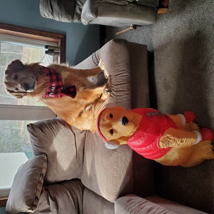 kristen added a photo of their purchase