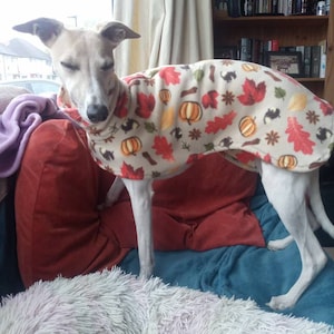 Sue added a photo of their purchase