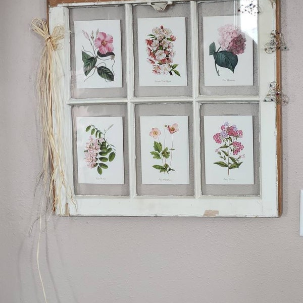 Pink Flower Wall Art Set of 6 – Vintage Botanical Prints – Floral Wall ...