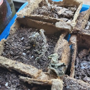 Alba added a photo of their purchase