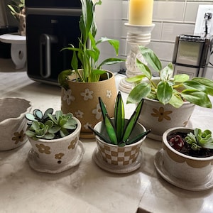 Ashley added a photo of their purchase