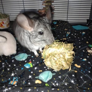 Erica added a photo of their purchase