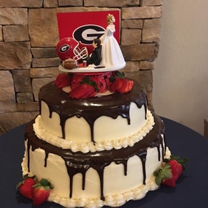 uga grooms cake