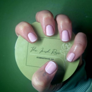 Shelley added a photo of their purchase