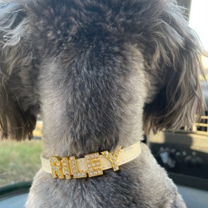 XS Dog Collar Puppy Collar Gifts for Pets Chihuahua - Etsy