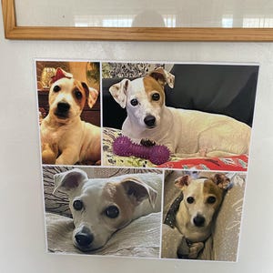 Christine added a photo of their purchase
