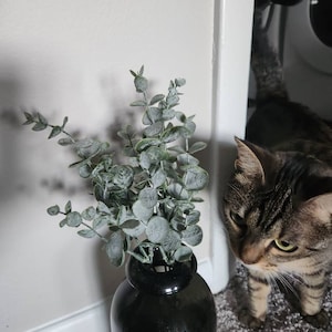 Susan added a photo of their purchase