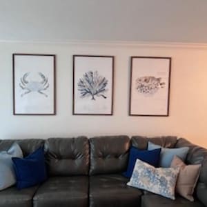 Peaches added a photo of their purchase