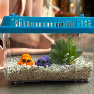 Dora added a photo of their purchase